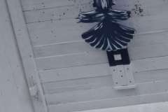 IMG-20250823-WA0004