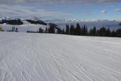 DSC04333